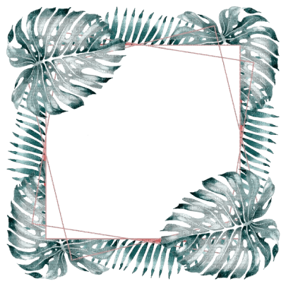 kikkapink tropical frame palm tree summer