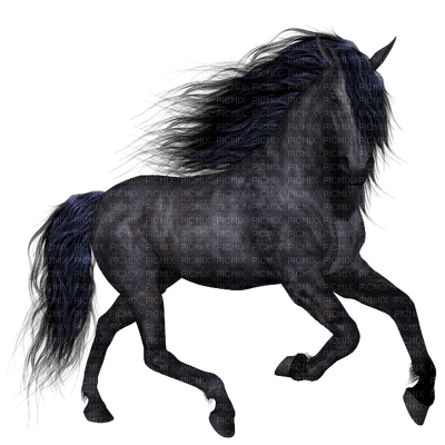 aze cheval noir black - png ฟรี