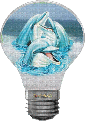 ampoule dauphin - Безплатен анимиран GIF