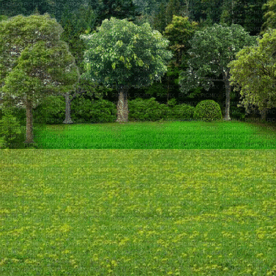 Wald - Безплатен анимиран GIF