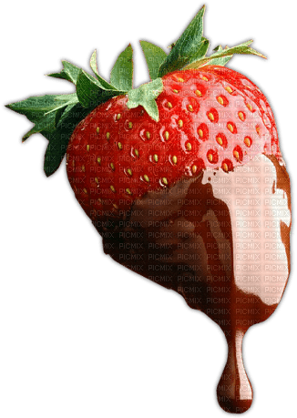 strawberry chocolate Bb2 - zdarma png