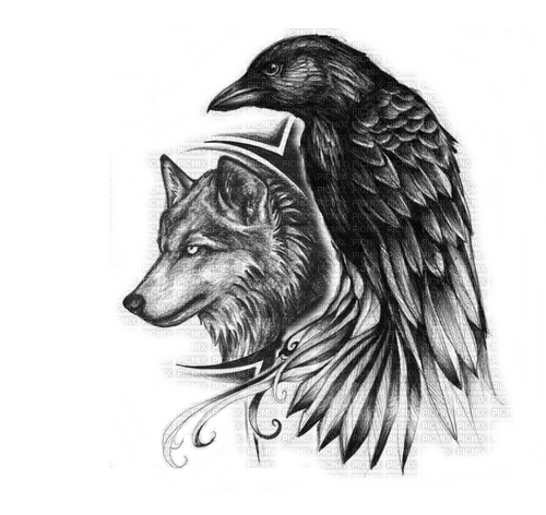 wolf and raven - gratis png