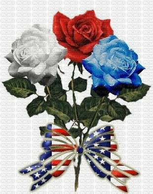 red_white_blue_roses_memorial_day - kostenlos png