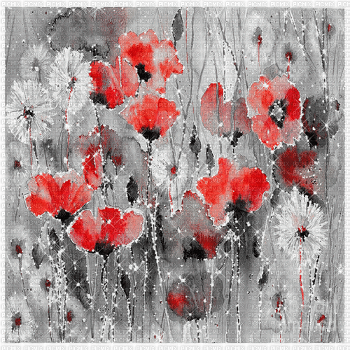 dolceluna black red white flowers animated - GIF เคลื่อนไหวฟรี