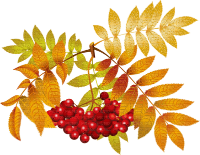 autumn deco by nataliplus