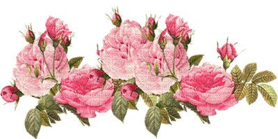 flower pink - besplatni png