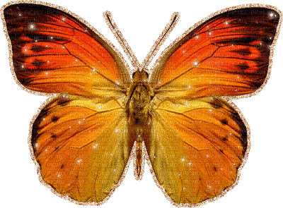 dulcineia8 borboletas - GIF animado gratis