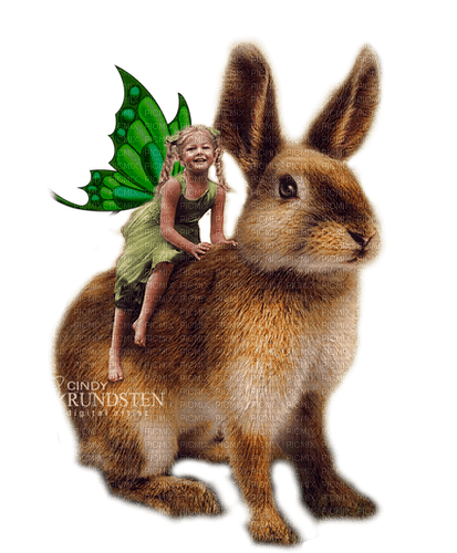 fairy with hare by nataliplus - gratis png
