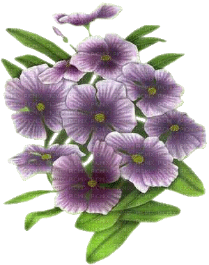 fleurs ( - Ilmainen animoitu GIF