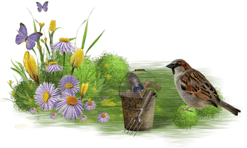 Frühling, Vogel, Blumen - PNG gratuit
