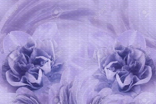 bg--blå--blommor - δωρεάν png