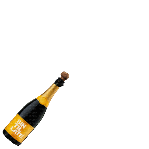 party champagne champagner montre sekt sparkling wine  birthday anniversaire fest celebrations tube gif anime animated animation new year silvester - GIF animé gratuit