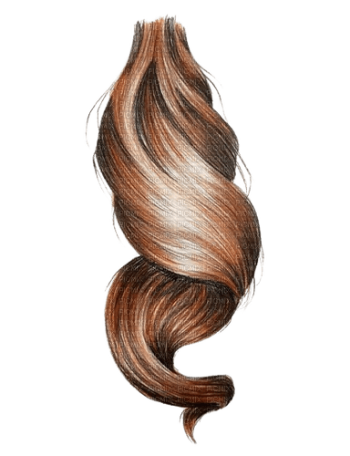 cheveux - безплатен png