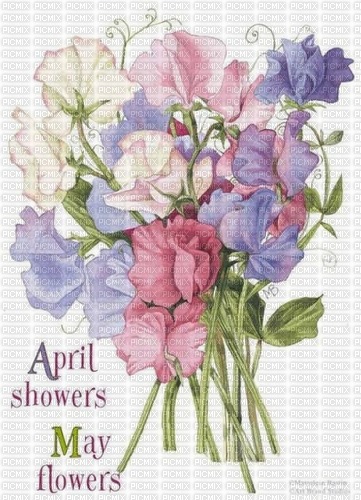 Marjolein Bastin spring flowers - bezmaksas png