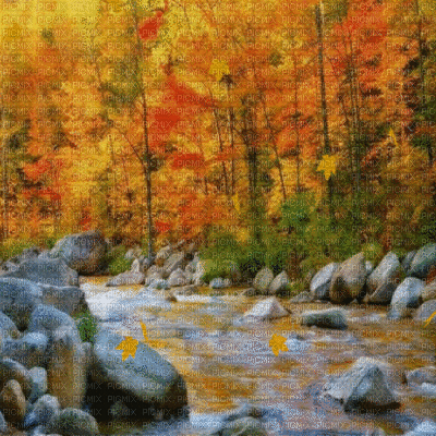 river forest wald fluss paysage landscape flux forêt autumn automne herbst fond background hintergrund gif anime animated animation leaves - Darmowy animowany GIF