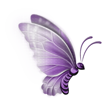 Schmetterling butterfly lila - бесплатно png