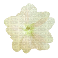 white flower - zdarma png