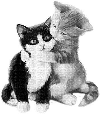 soave deco valentine animals cat dog friends - ücretsiz png
