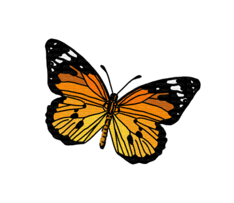 Papillon.Butterfly.Orange.gif.Victoriabea - Free animated GIF