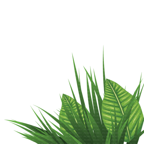 green leaves Bb2 - Free PNG