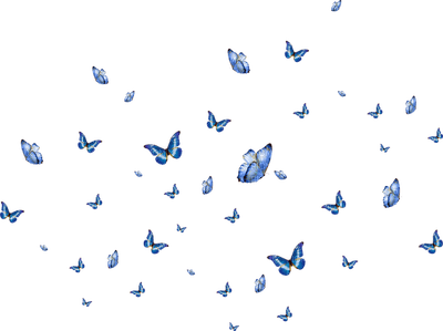 All  my butterflys - darmowe png