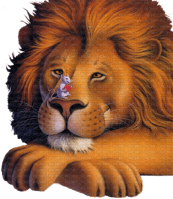 lion löwe - Zdarma animovaný GIF