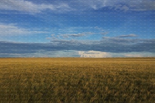 Steppe - Free PNG