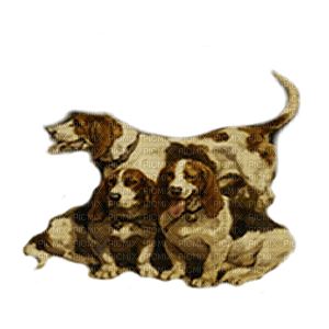 perros   caza  dubravka4 - Free PNG