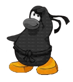 Club Penguin Ninja - 免费PNG