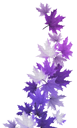 soave deco autumn animated leaves branch purple - Besplatni animirani GIF