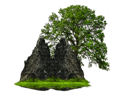 rock and tree - zdarma png