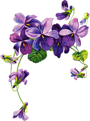 Kaz_Creations Deco Flowers Flower Colours - безплатен png