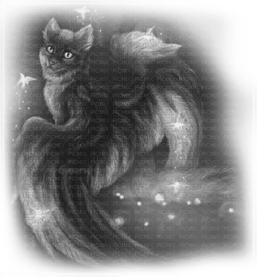Y.A.M._Fantasy cat black-white - ücretsiz png