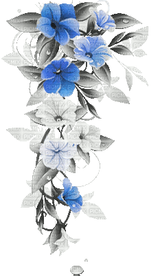 soave deco branch flowers animated black white - GIF animado gratis