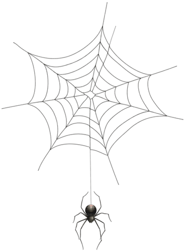 spider web - zadarmo png