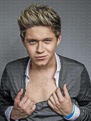 Niall Horan *___* - 免费PNG