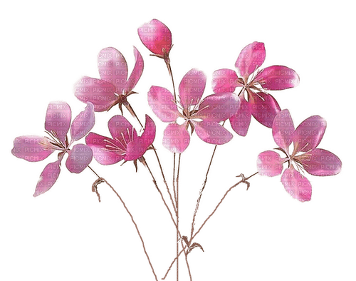 Fleurs.Pink.Flowers.Bouquet.Victoriabea - Free PNG