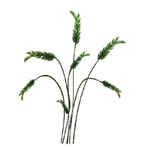 planta verde animada gif dubravka4, planta , verde , animada , gif ,  dubravka4 - Free animated GIF - PicMix