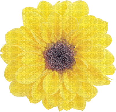 Kaz_Creations Deco Flowers Flower Yellow - PNG gratuit