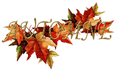 autumn leaves deco border  automne feuilles - Free PNG