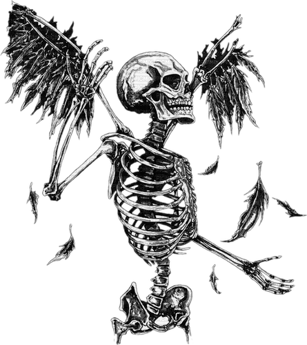 winged skeleton - png gratis
