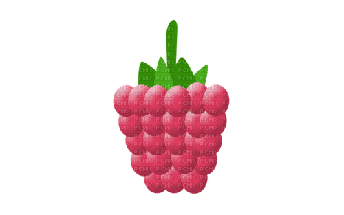 Raspberry - By StormGalaxy05 - darmowe png