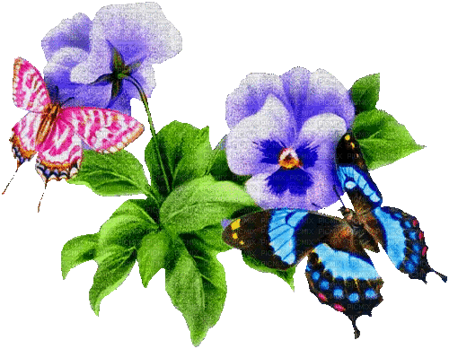 butterfly flower - Nemokamas animacinis gif