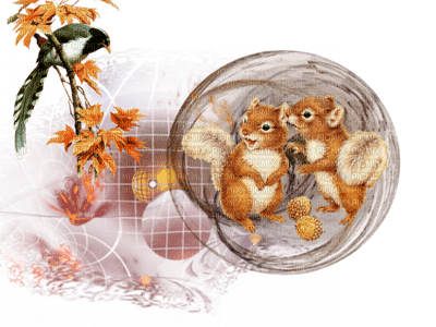 patymirabelle automne écureuils - δωρεάν png