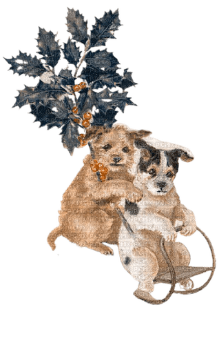 kikkapink dog vintage christmas - nemokama png