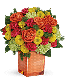 Kaz_Creations  Deco Flowers Vase Colours - zdarma png