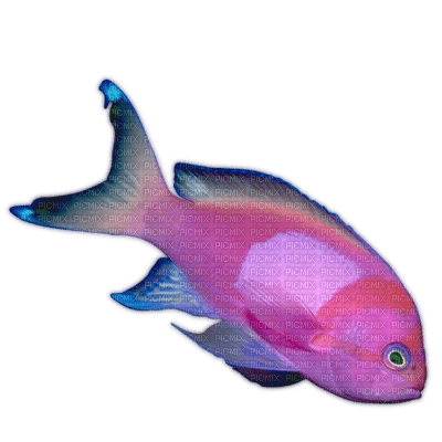 tube animaux aquarium - Free PNG
