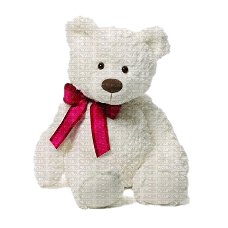 Cute Teddy Bear - 免费PNG