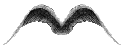 angel wings bp - GIF เคลื่อนไหวฟรี