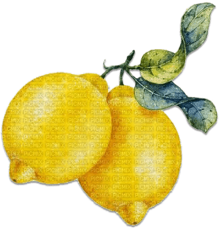 soave deco fruit lemon summer yellow - ücretsiz png